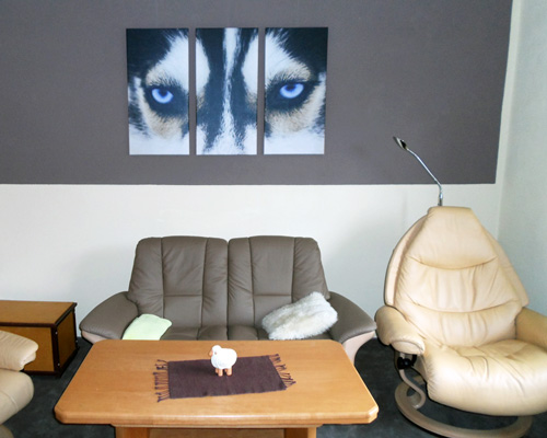 Dreigeteiltes Wandbild mit Augen eines Husky